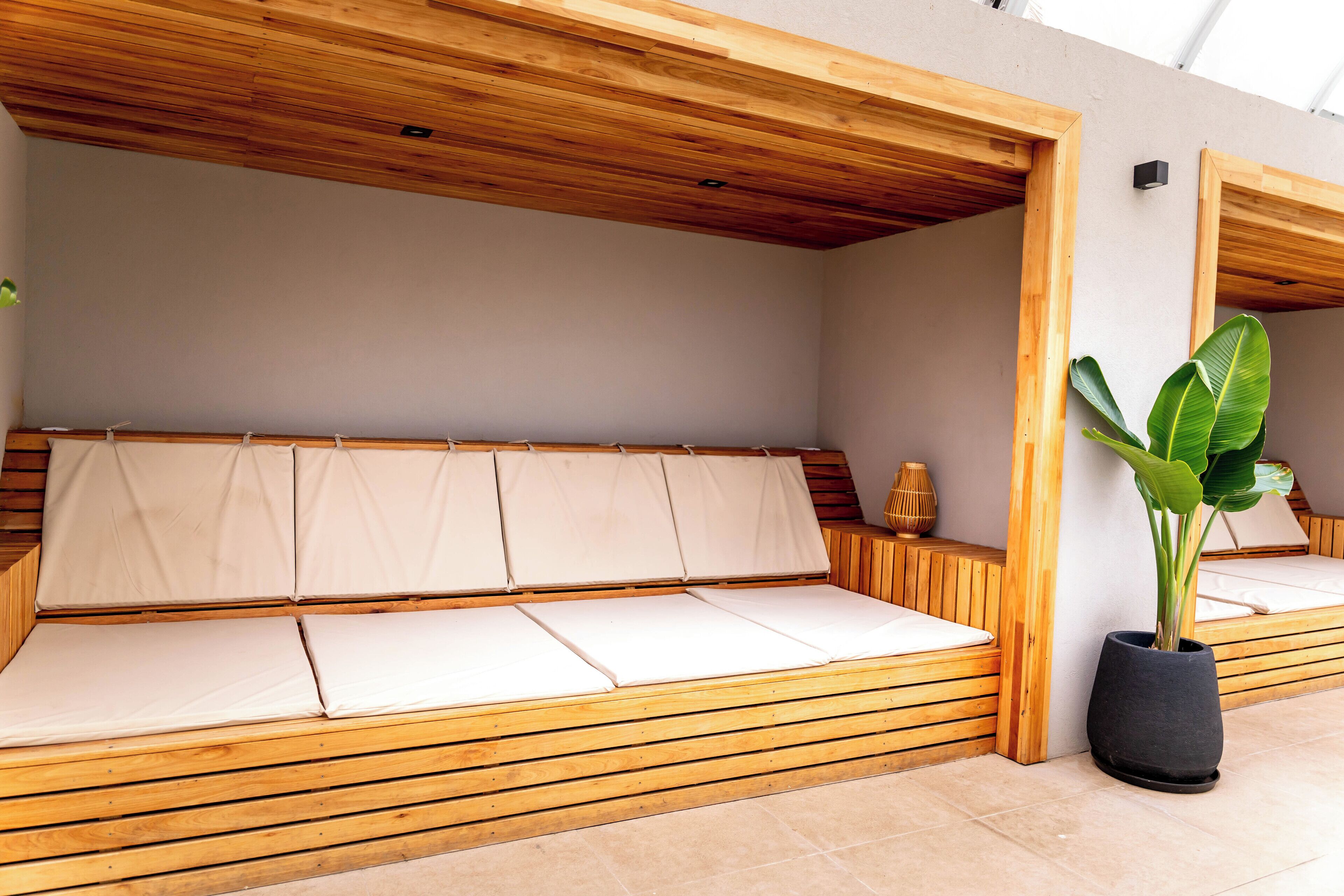 A modern interior with a wooden bench seating area, a potted plant, and a wooden ceiling structure.