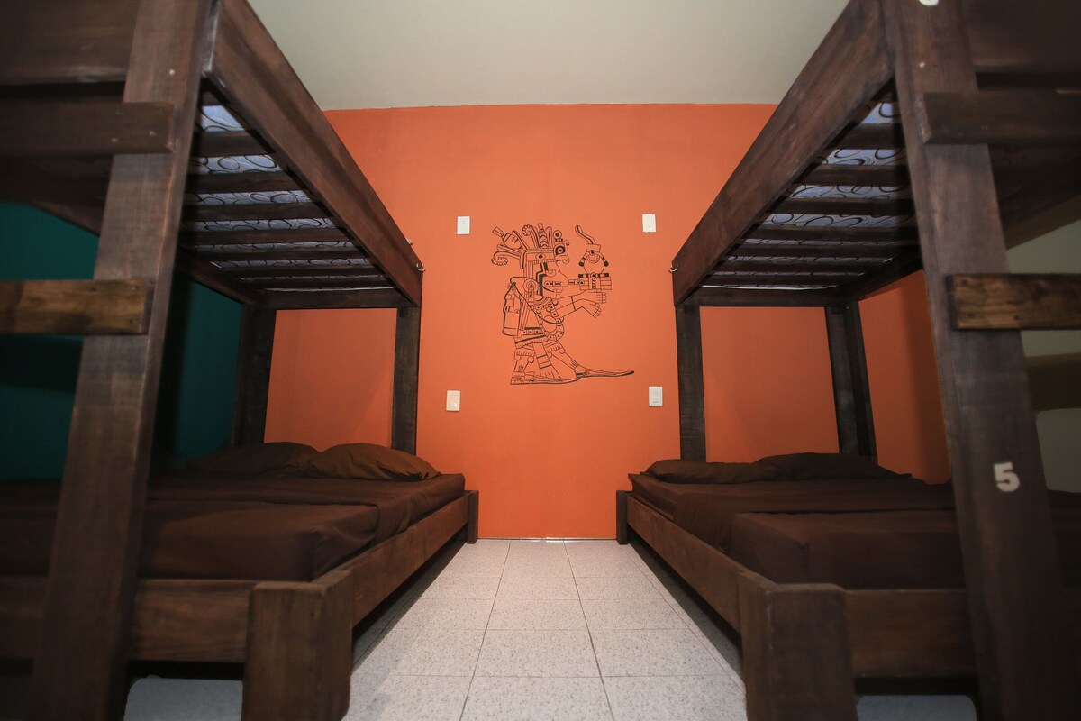 Dortoir Partagé Premium (4 bunk beds) | Coffres-forts dans les chambres, Wi-Fi gratuit