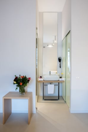 淋浴设施、吹风机、坐浴桶、毛巾