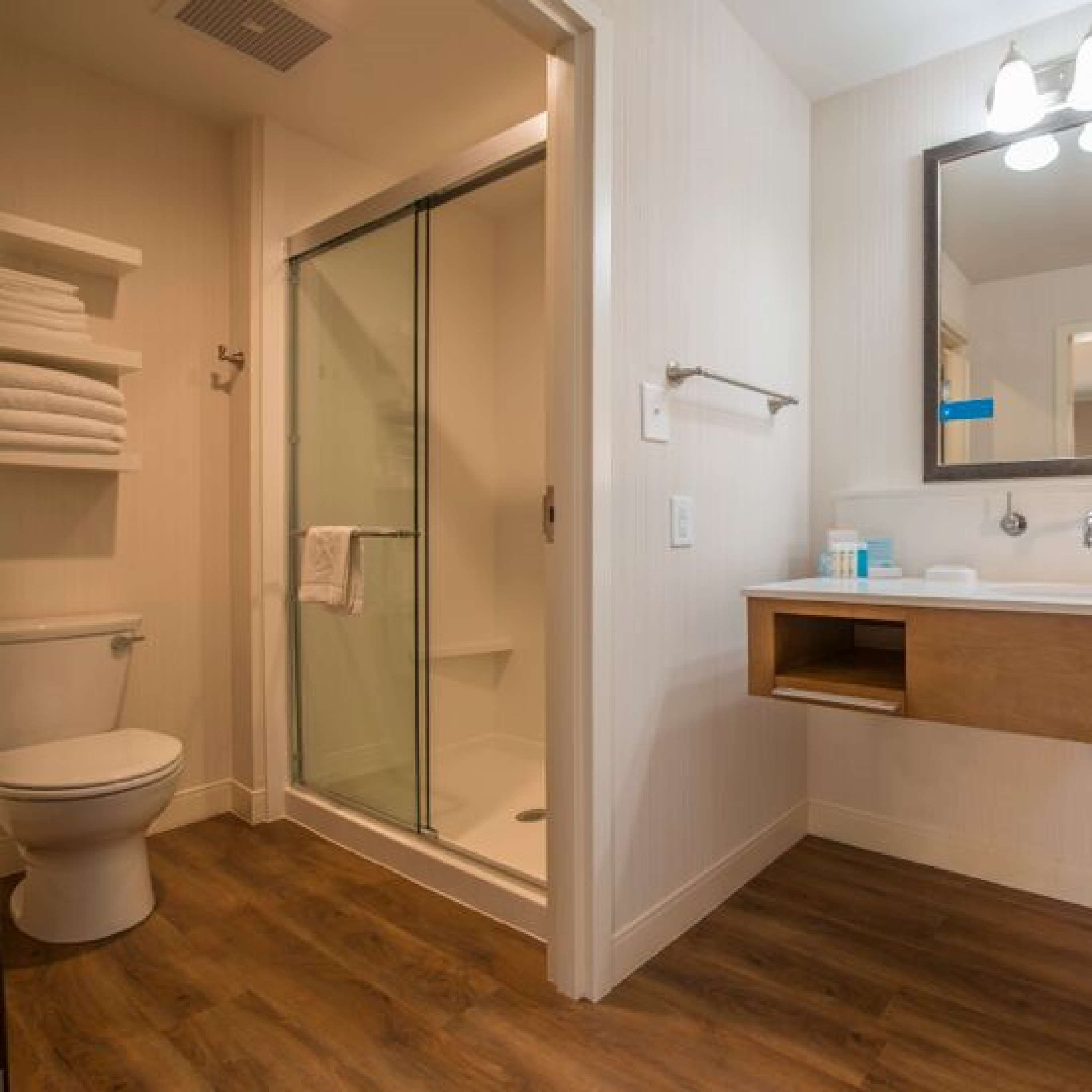 studio, 1 king bed, non smoking, refrigerator & microwave | bathroom shower