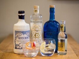 Varias botellas y un vaso con una rodaja de limón sobre una superficie de madera.
