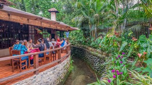 Breakfast, lunch and dinner served - El Jardin Relax (Puyo)