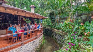 Se sirven desayunos, almuerzos y cenas; cocina local e internacional