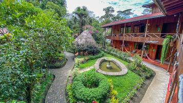 Garden view
