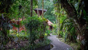 Garden view - El Jardin Relax (Puyo)