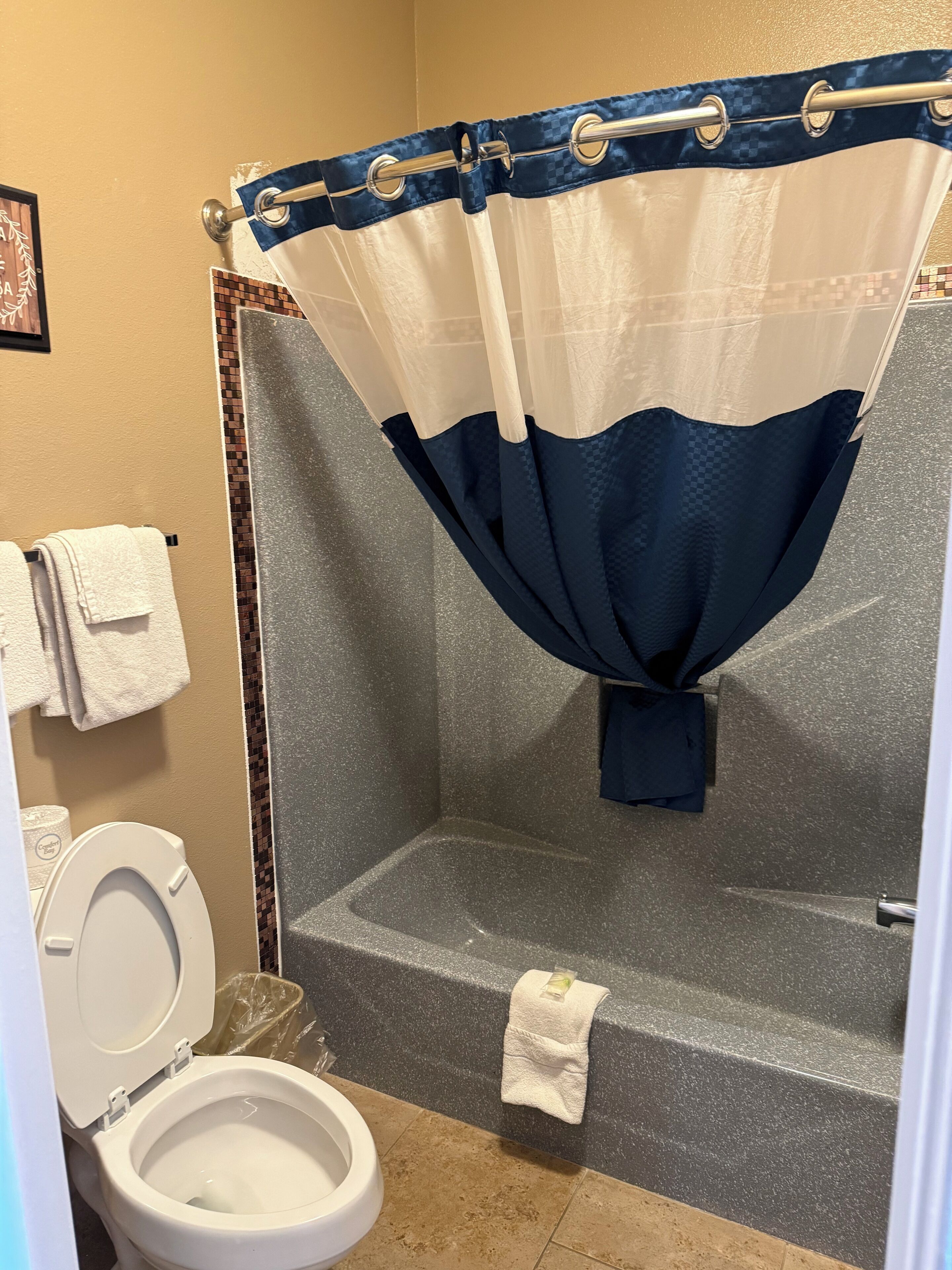 A bathroom with a shower, a toilet, and a towel rack.