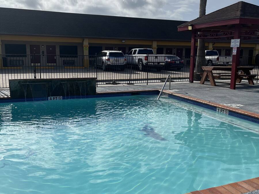 Une piscine dont la profondeur est indiquée à 4 pieds, un espace pique-nique couvert et un bâtiment avec un parking en arrière-plan.