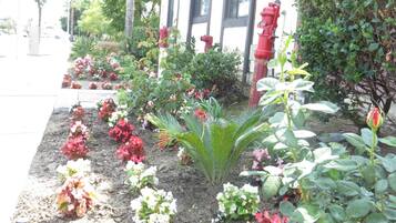 Un jardín con diversas plantas y flores, un hidrante rojo y un edificio con ventanas al fondo.