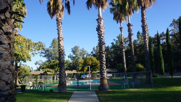 A pathway leading to a fenced area with a pool, surrounded by palm trees and greenery. - Blue Gum Motel (Willows)