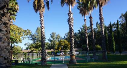 Blue Gum Motel