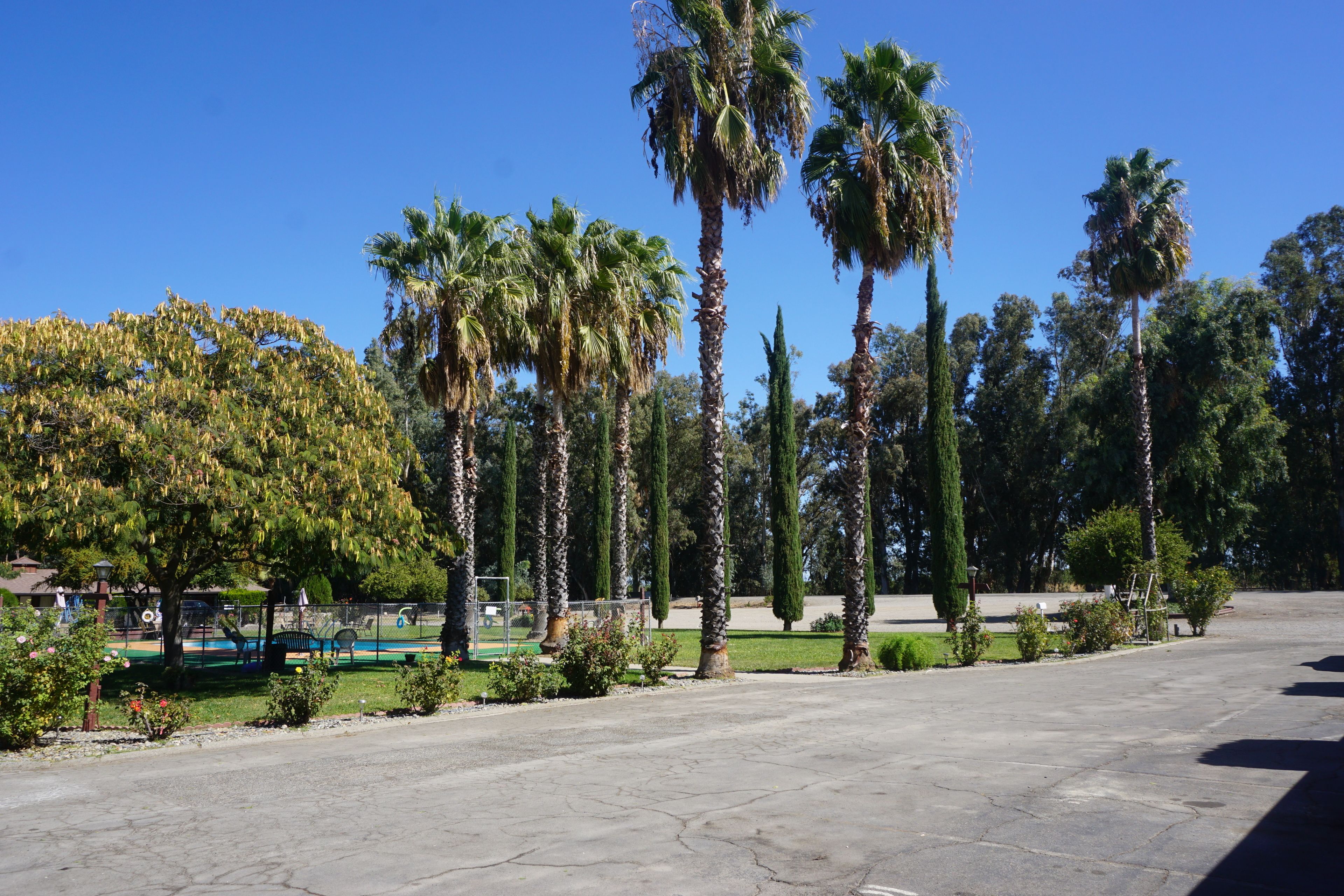 Θέα από το κατάλυμα