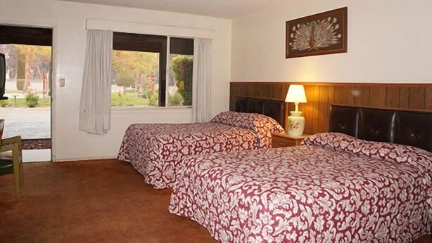 Habitación de hotel con dos camas, una ventana con cortinas, una lámpara de noche y un cuadro colgado en la pared.