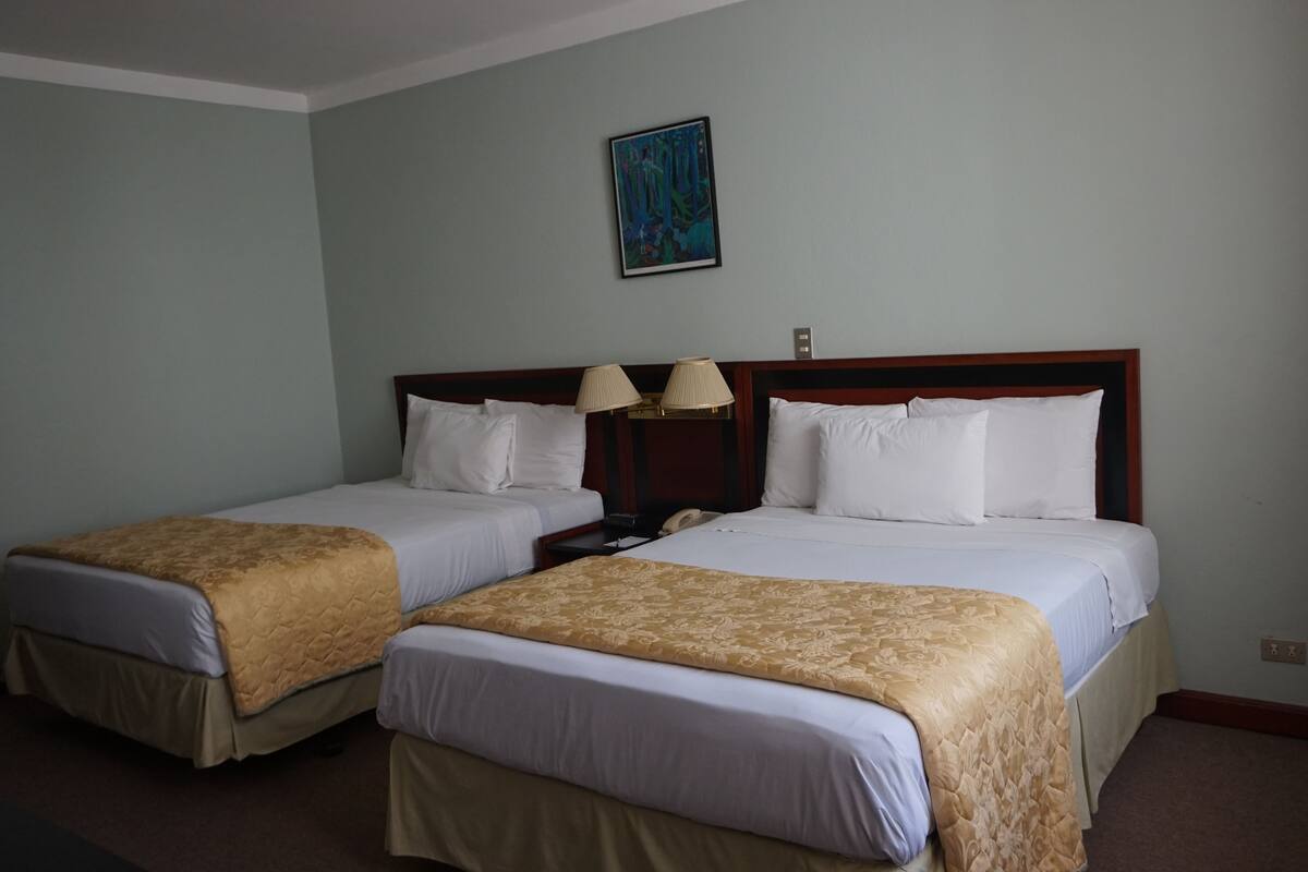 Family Apartment, 2 Bedrooms, Kitchen | In-room safe, iron/ironing board, free WiFi, bed sheets