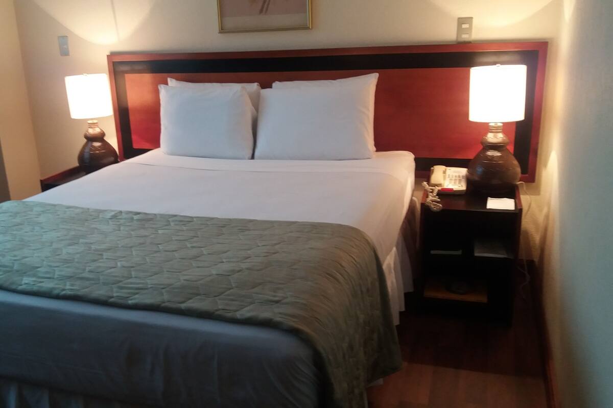Habitación estándar, 1 cama de matrimonio, frigorífico | Caja fuerte, tabla de planchar con plancha, wifi gratis y ropa de cama