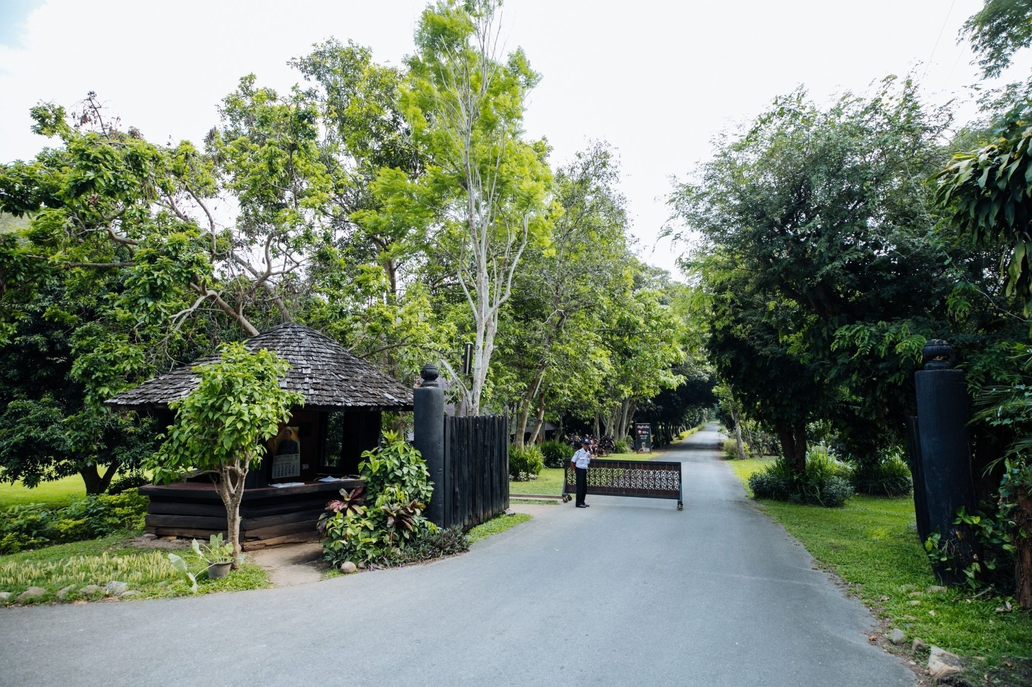 A pathway leading to a building with a thatched roof structure, surrounded by lush greenery and trees.