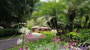 A lush garden with various flowers and plants, a road, and a building with a red roof in the background. - Lanna Resort (Hang Dong)