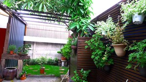 Un jardín con plantas en macetas, una valla de madera y una pequeña zona verde.