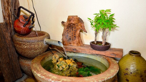 Montaje tradicional de ceremonia del té japonesa, con tetera, cuenco de madera, un bonsai y un florero.
