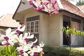 A house with a tiled roof and a window with a grid pattern.