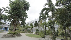 Un complexe hôtelier doté d’une cour sablonneuse, de palmiers et d’un bâtiment avec une porte bleue.