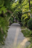 Un sendero bordeado por exuberante vegetación y plantas tropicales.