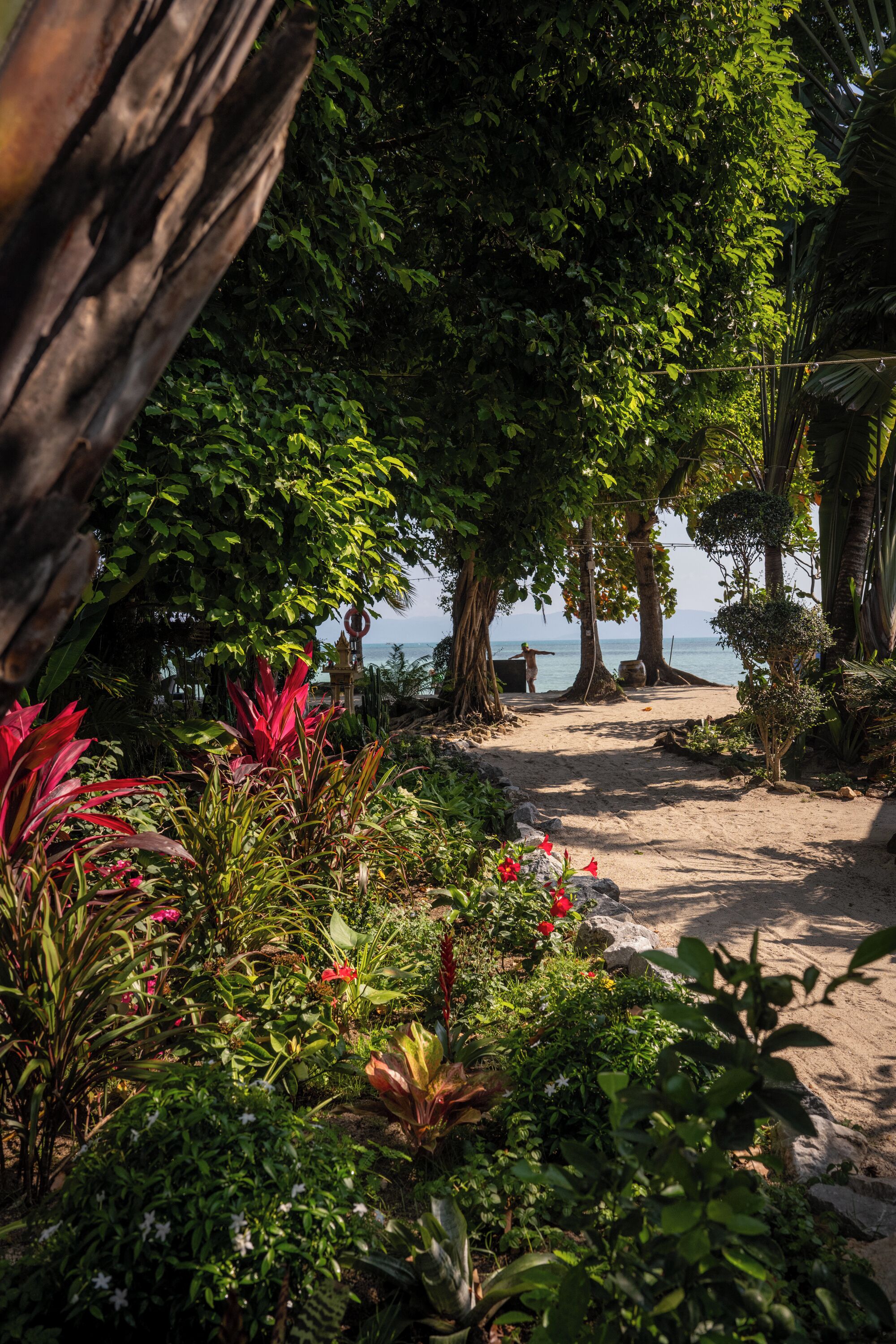 Ein tropischer Garten mit einem Sandweg, der zum Strand führt.