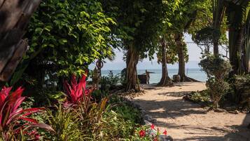 A tropical garden with a sandy path leading to a beach.