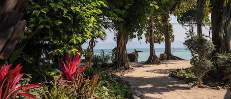 Ein tropischer Garten mit einem Sandweg, der zum Strand führt.