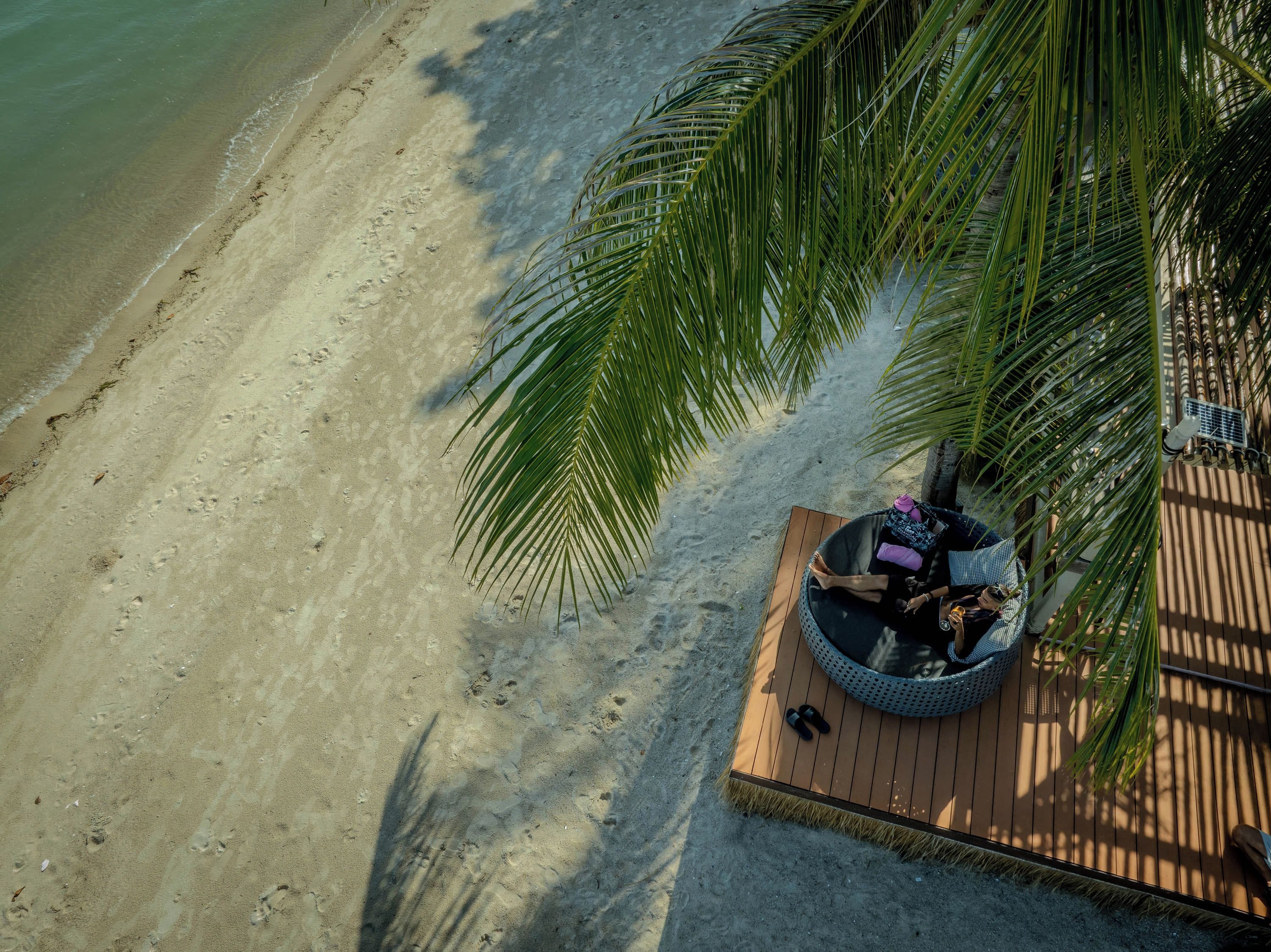 Une vue sur la plage avec une terrasse en bois, un espace salon circulaire et un palmier.