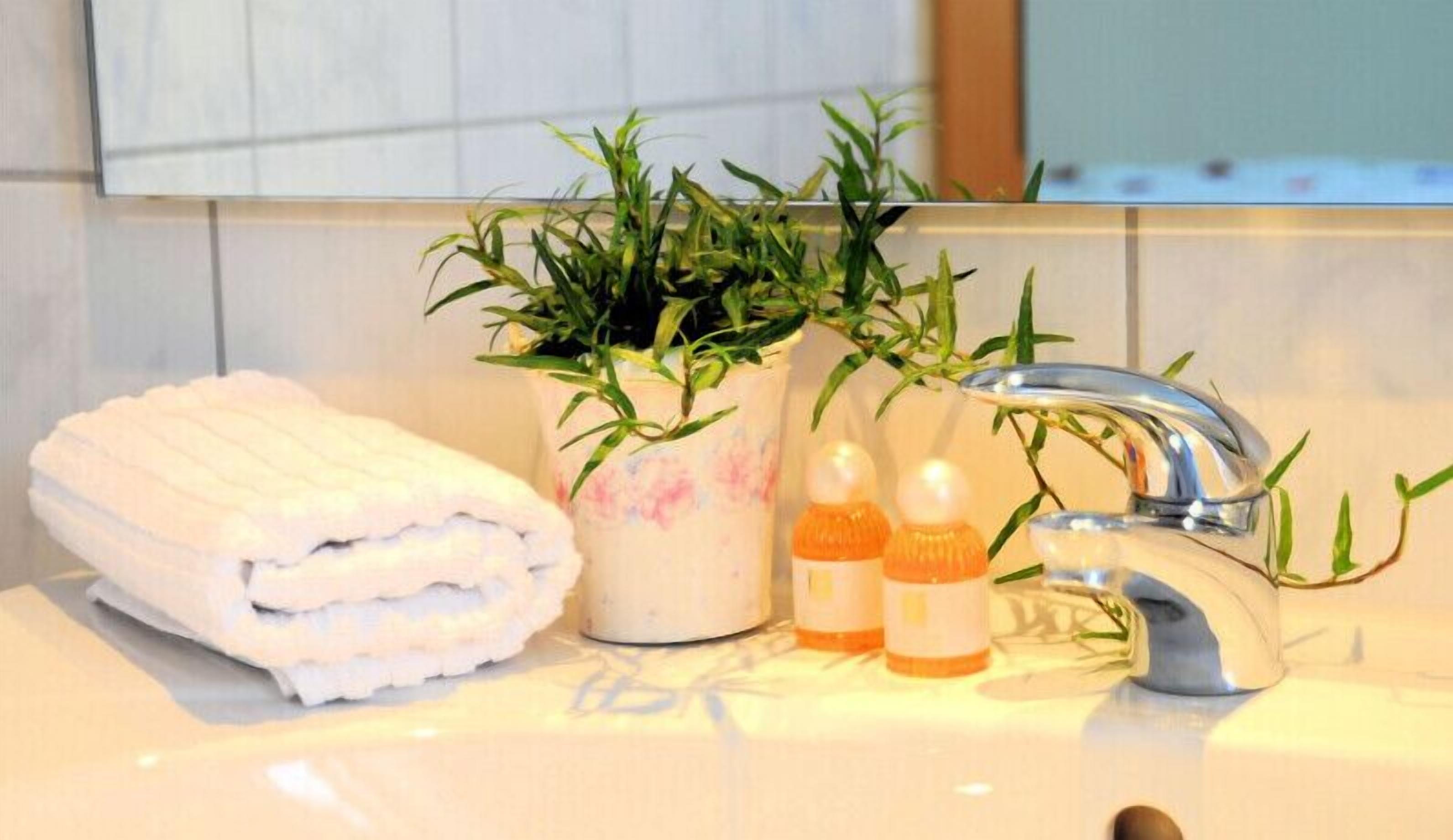 shower, rainfall showerhead, free toiletries, hair dryer