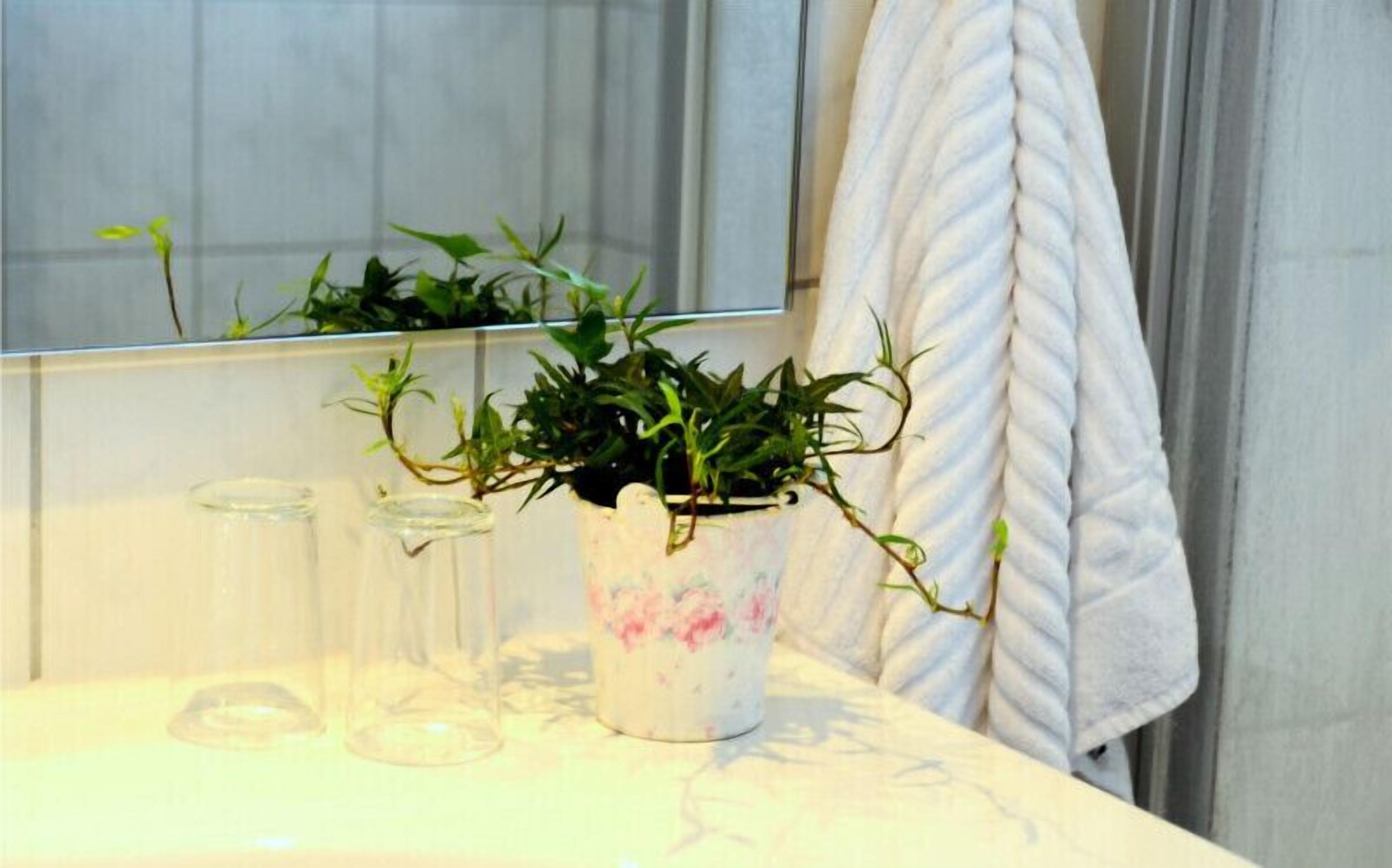 Un baño con lavamanos de mármol blanco, una planta en maceta y un espejo que refleja la habitación.