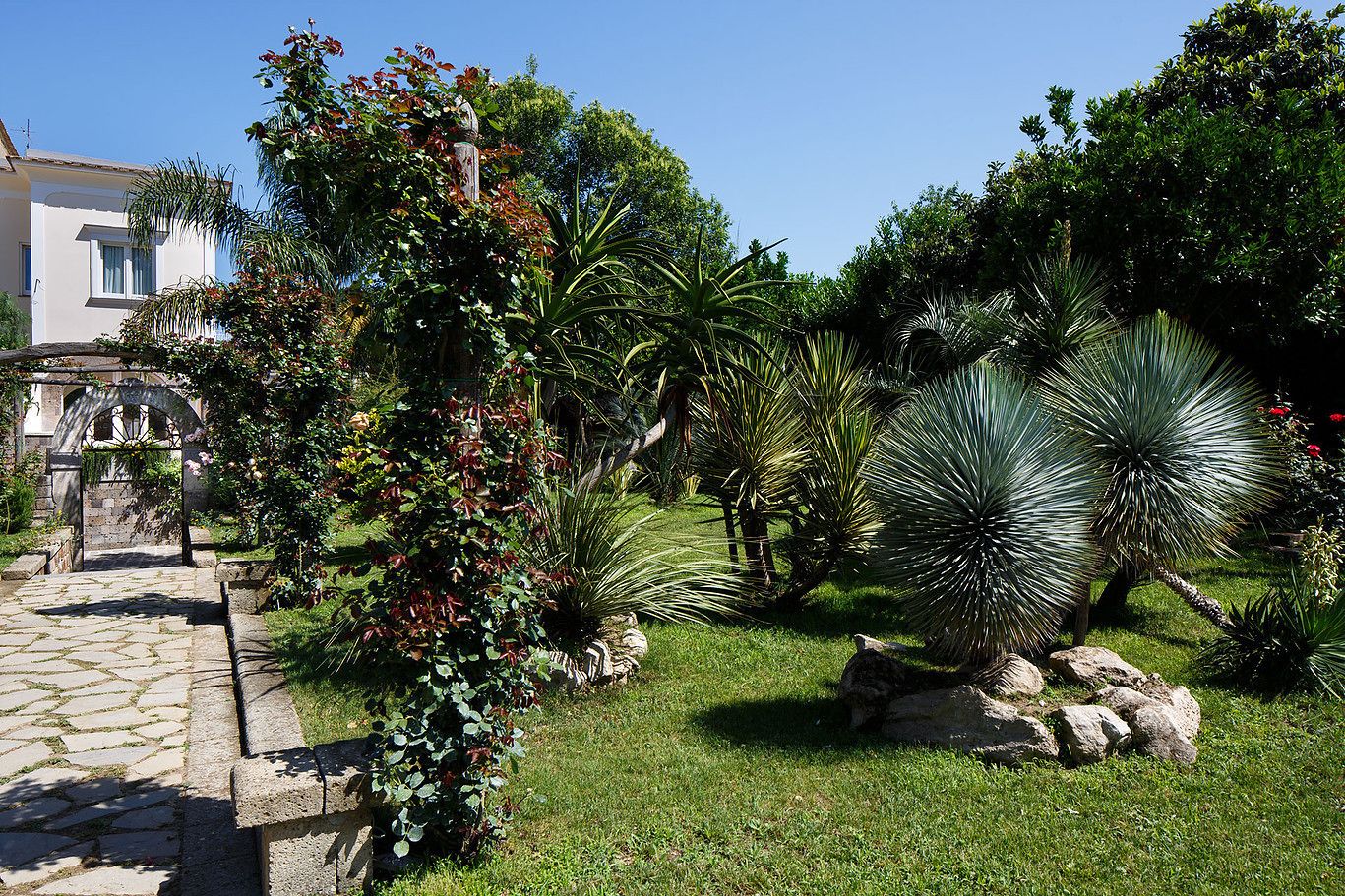 A garden with a stone pathway leading to a building.