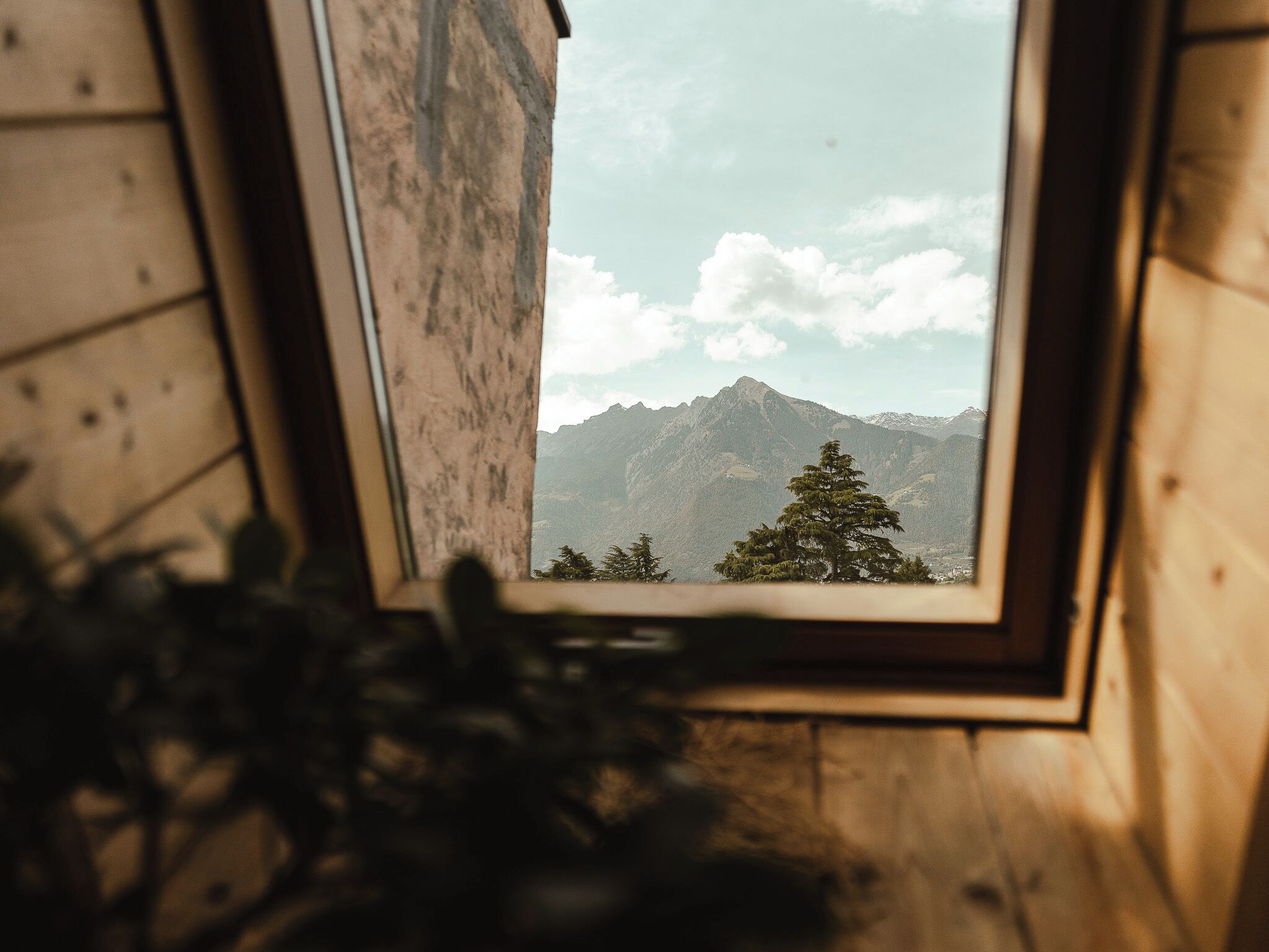 Uitzicht vanuit accommodatie