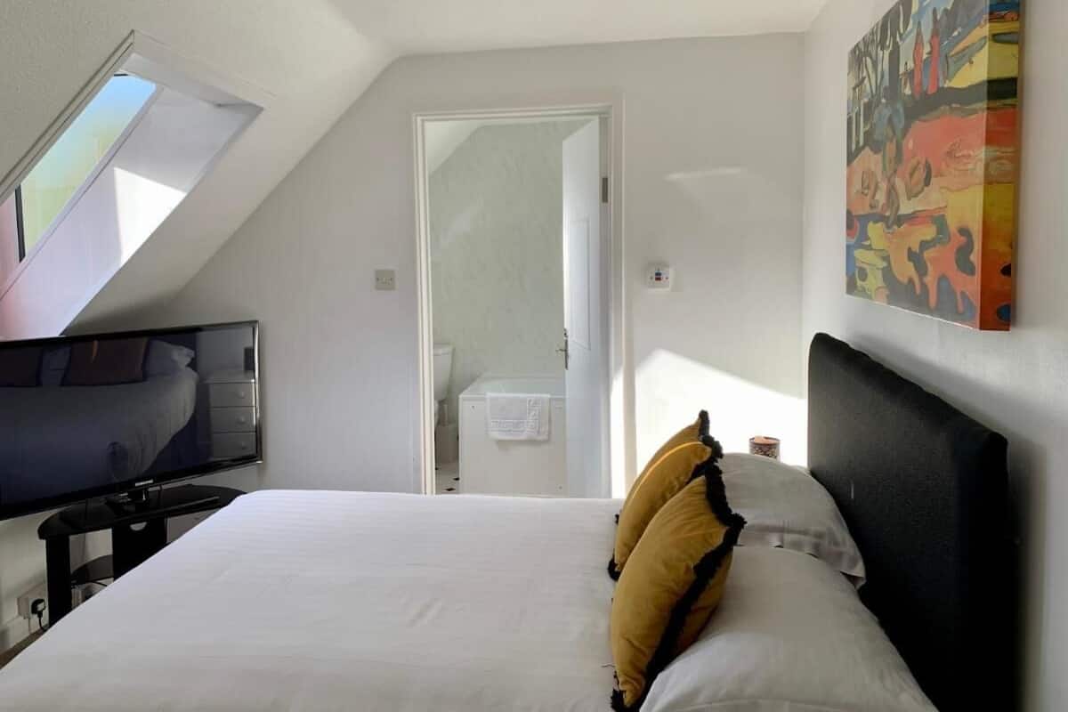 Un dormitorio con cama, televisor, tragaluz y puerta al baño.