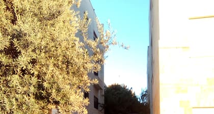 The Place Apartments