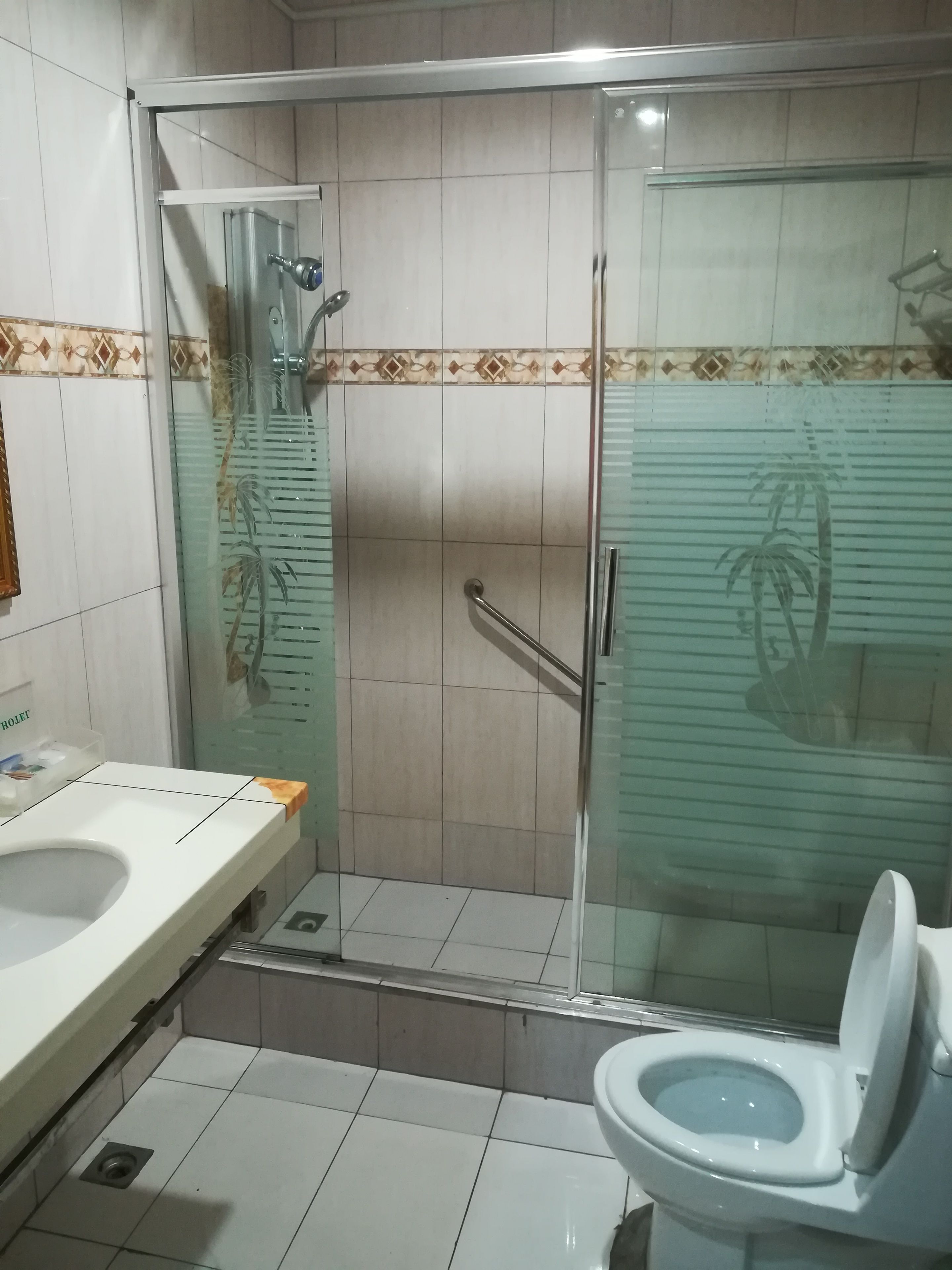 Et badeværelse med glasvæg omkring bruseren, toilet og håndvask.