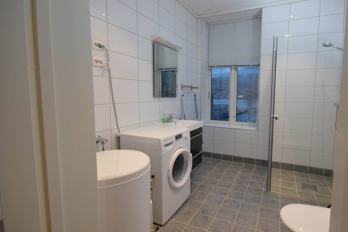 Un bagno dotato di lavatrice, WC e cabina doccia in vetro.