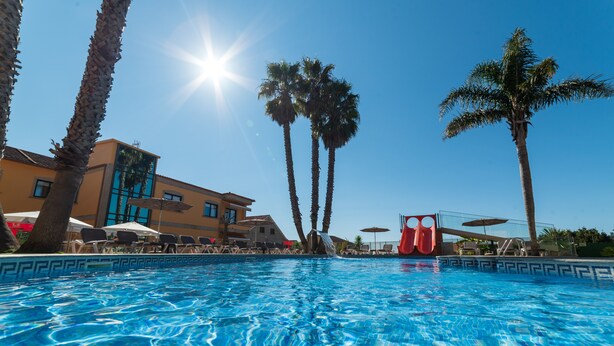 A swimming pool with clear blue water, surrounded by palm trees and lounge chairs.