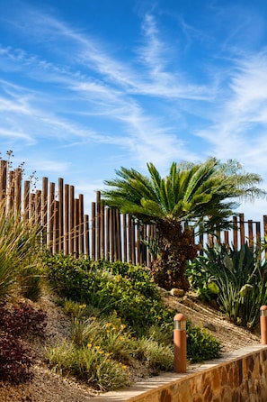 A garden with a palm tree, various plants, a wooden fence, and a stone wall. - Aparthotel Atlántico Resort (Sanxenxo)