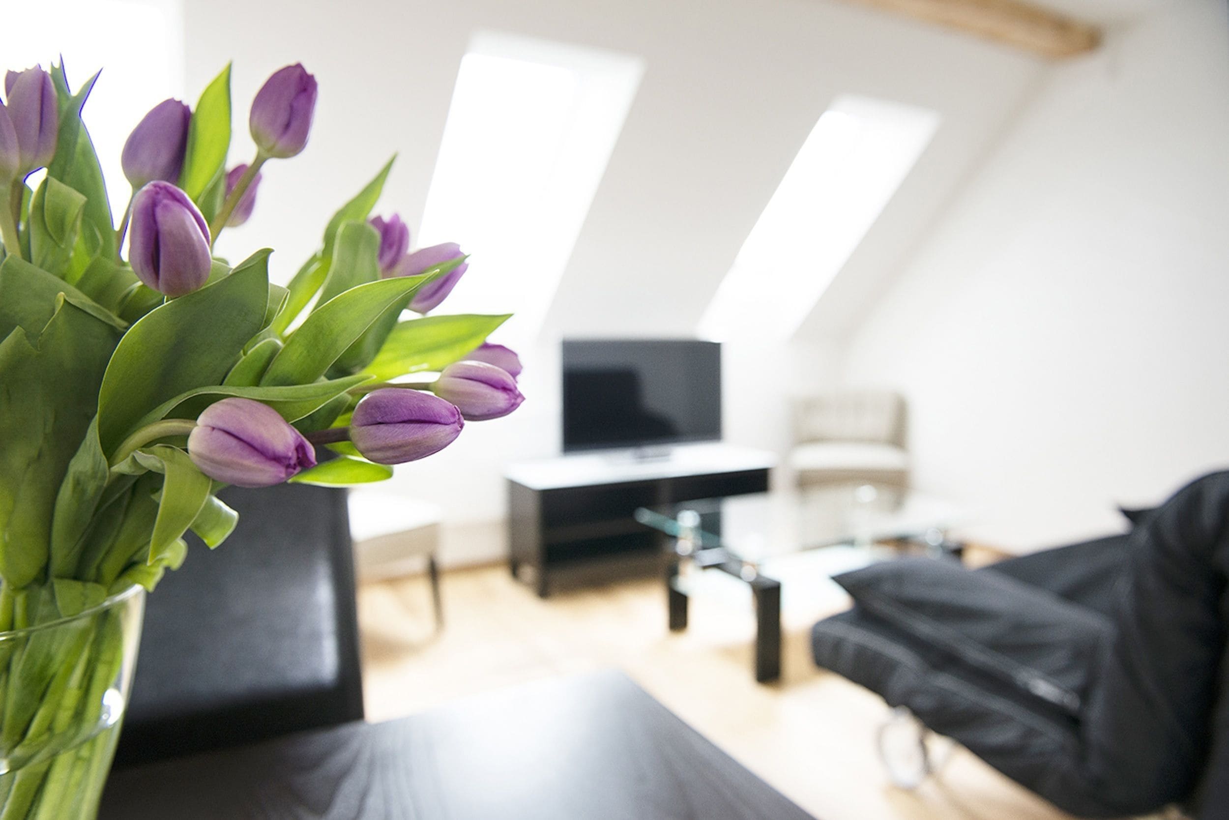 A living room with a black sofa, a glass coffee table, and a flat-screen TV on a stand. There is a vase with purple tulips on a wooden table.