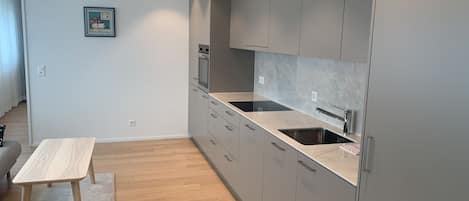 Comfort Studio Suite | Private kitchen | Fridge, microwave, dishwasher, electric kettle