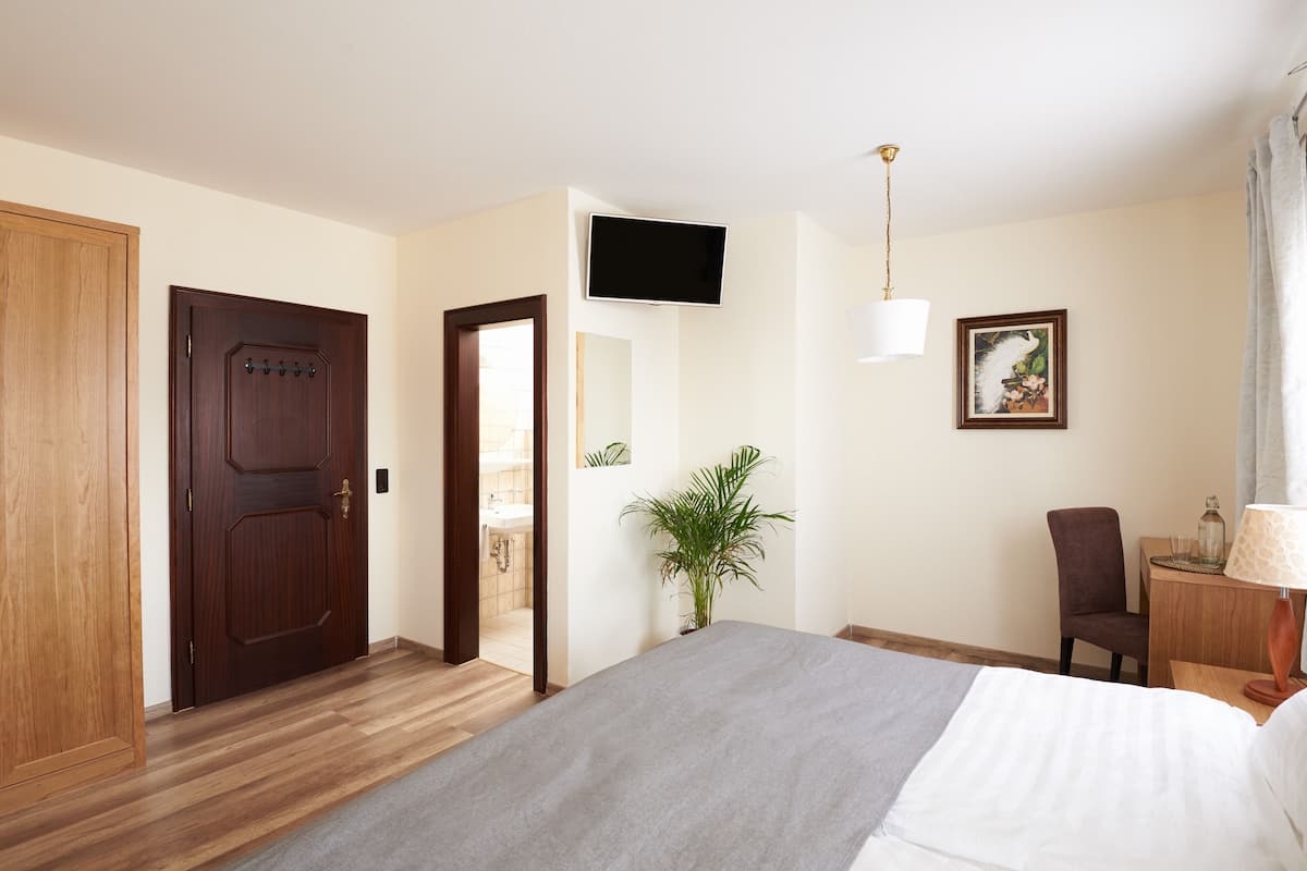 A hotel room with a bed, a TV, a chair, a desk with a lamp, a plant, and a door.