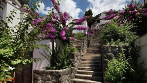 Unclassified image, 3 of 61, button - Hotel Podgorka (Podgora)