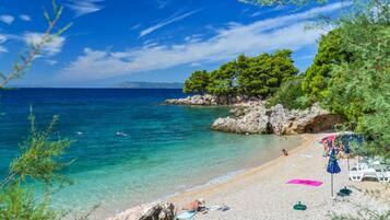 On the beach, scuba diving