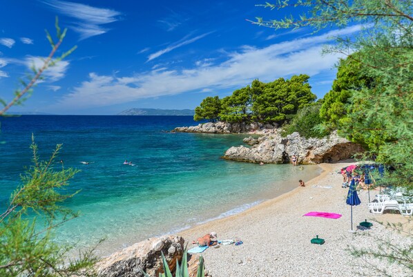 Plage, plongée sous-marine