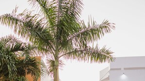 Parking - Hotel & Suites Country (Valladolid)