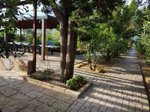 Exterior - Azienda Agrituristica Le Betulle (Piombino)
