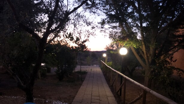 Un sendero pavimentado con barandilla, rodeado de árboles y arbustos, que conduce hacia el atardecer.