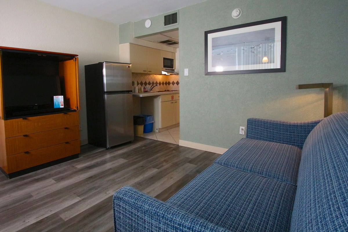 pool/oceanview 1 bedroom efficiency suite w/queen bed | living area | tv