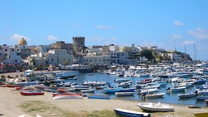 مارينا